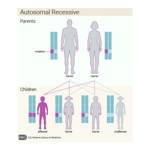 الگوی وراثتی اتوزومال مغلوب- autosomal recessive pattern