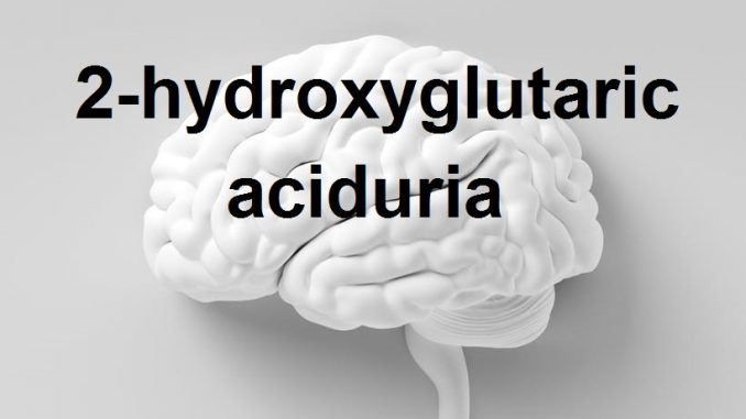 brain (1)