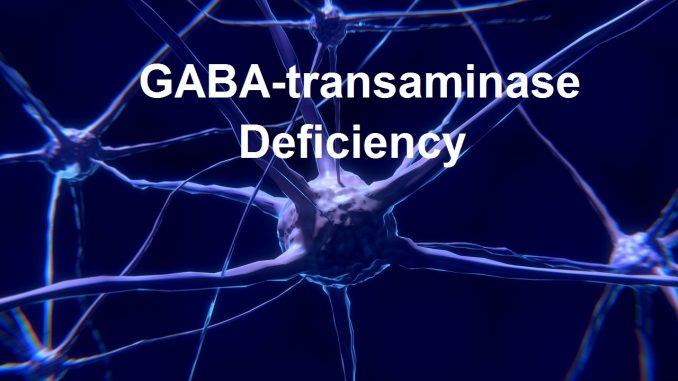 neurotransmitters