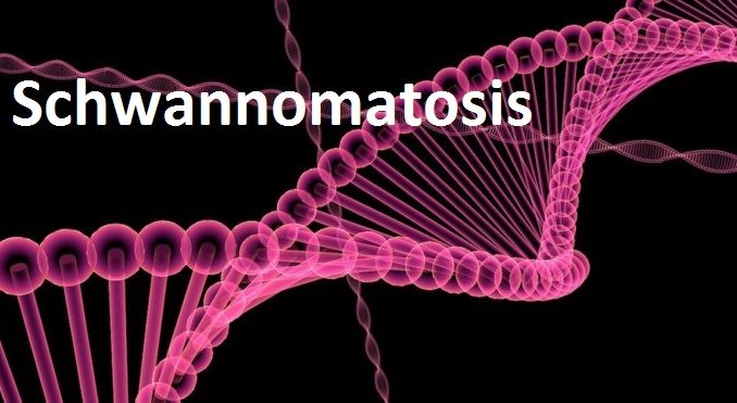 dna-1015661_1920-1-686x371